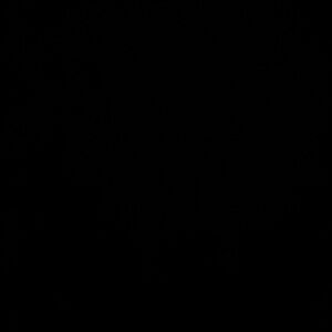 Meet your Posher, Fatima